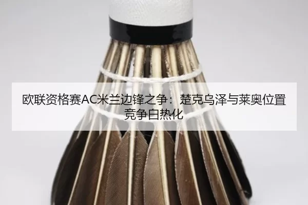 ou-lian-zi-ge-sai-mi-lan-bian-feng-zhi-zheng-chu-ke-wu-ze-yu-lai-ao-wei-zhi-jing-zheng-bai-re-hua-3-847.jpg