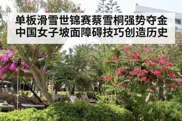 单板滑雪世锦赛蔡雪桐强势夺金 中国女子坡面障碍技巧创造历史