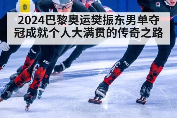 2024巴黎奥运樊振东男单夺冠成就个人大满贯的传奇之路